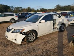 Toyota salvage cars for sale: 2007 Toyota Camry Hybrid