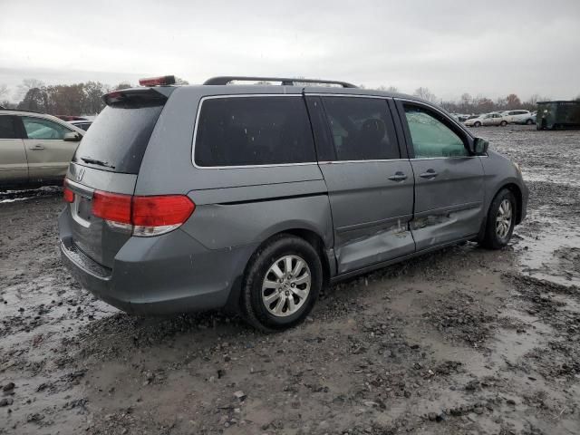 2009 Honda Odyssey EXL