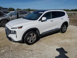 2023 Hyundai Santa FE SEL Premium en venta en Arcadia, FL