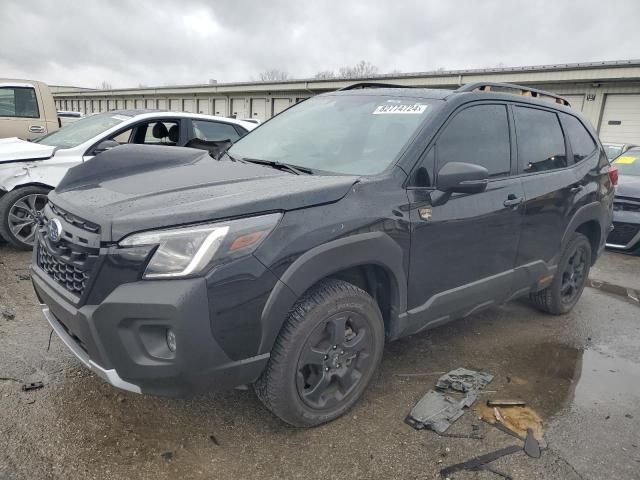 2023 Subaru Forester Wilderness