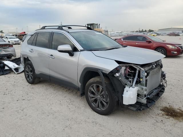 2023 Toyota Rav4 XLE Premium