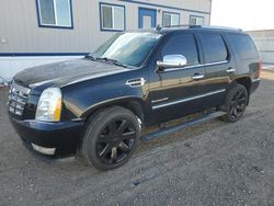 Salvage cars for sale from Copart Bismarck, ND: 2013 Cadillac Escalade Luxury