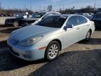 2004 Lexus ES 330