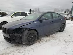 2017 Hyundai Elantra SE en venta en Bowmanville, ON