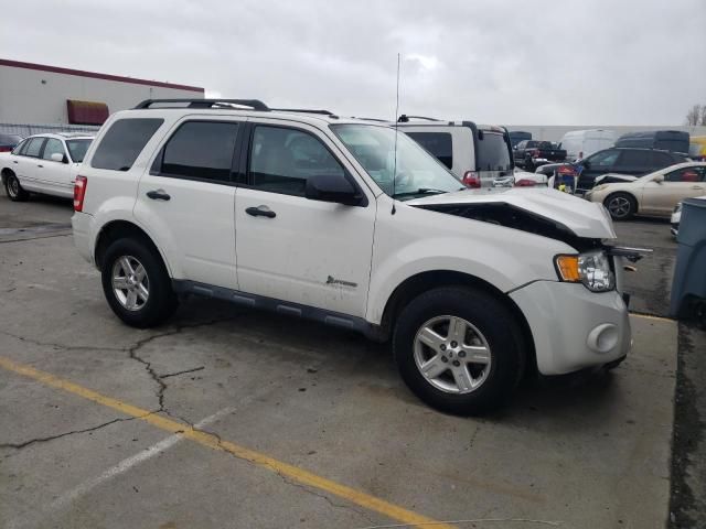 2011 Ford Escape Hybrid