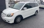 2010 Honda Odyssey EXL