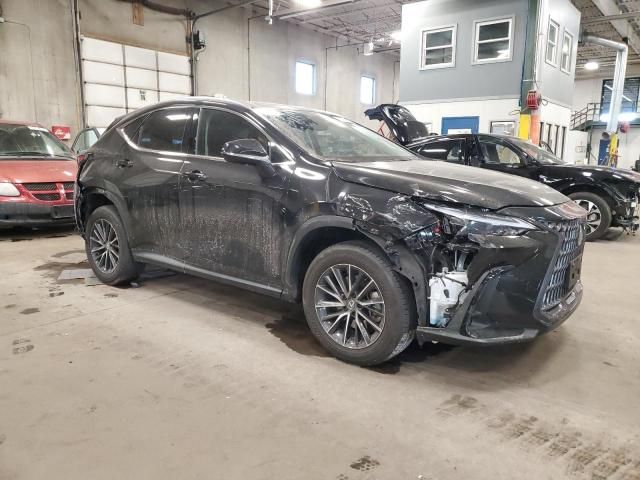 2024 Lexus NX 350H Base