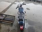 2004 Harley-Davidson XL883 C