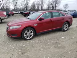 Salvage cars for sale at Cicero, IN auction: 2013 Ford Taurus SEL