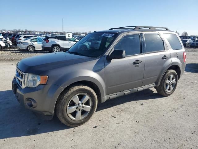 2009 Ford Escape XLT