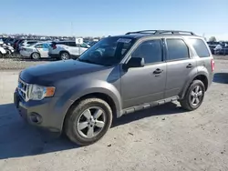 Salvage SUVs for sale at auction: 2009 Ford Escape XLT