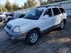 2001 Hyundai Santa FE GLS