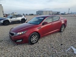 KIA Optima salvage cars for sale: 2012 KIA Optima LX