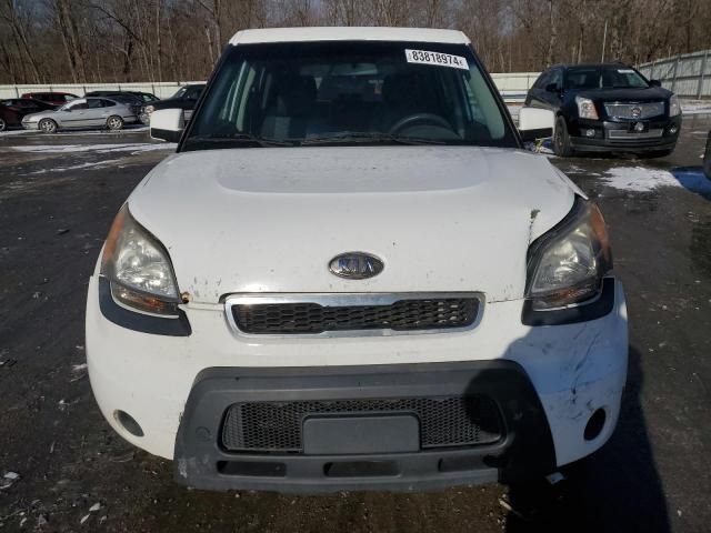 2011 KIA Soul +