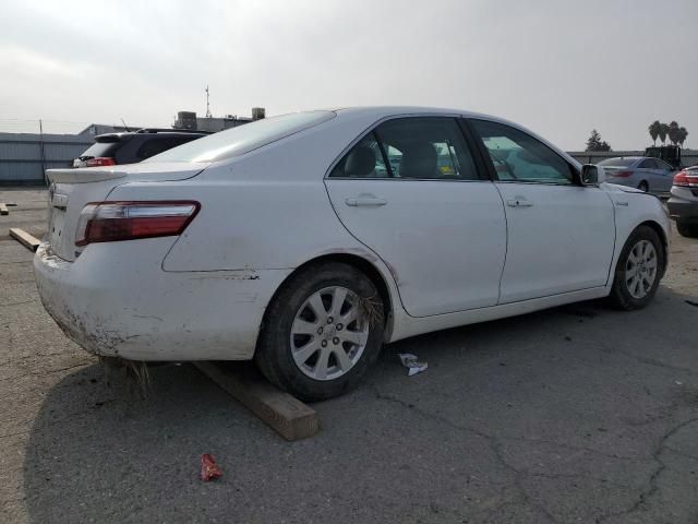 2009 Toyota Camry Hybrid