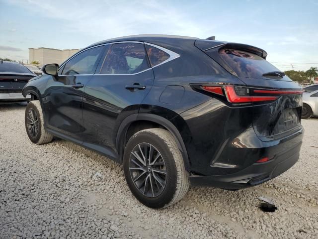 2024 Lexus NX 250 Base