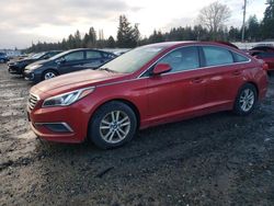 2017 Hyundai Sonata SE en venta en Graham, WA