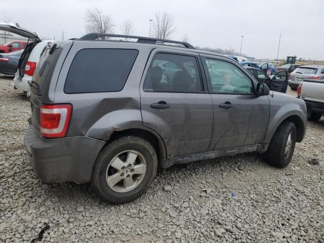 2011 Ford Escape XLS