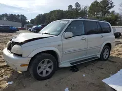 Salvage cars for sale at Seaford, DE auction: 2002 Suzuki XL7 Plus