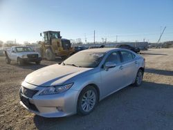 Salvage cars for sale at Des Moines, IA auction: 2013 Lexus ES 350