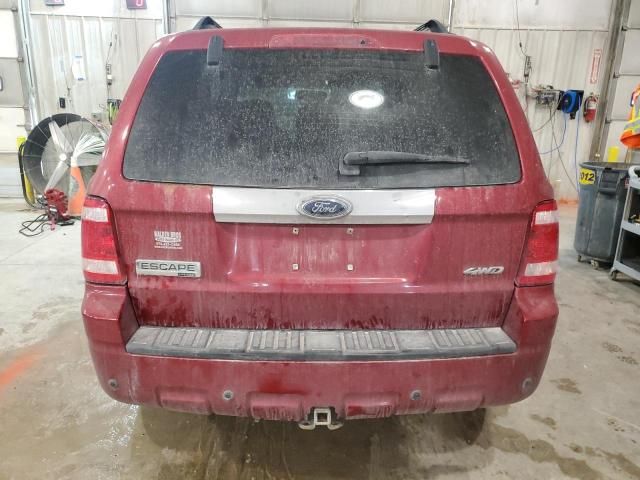 2008 Ford Escape Limited