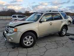 2011 Ford Escape Limited en venta en Lebanon, TN