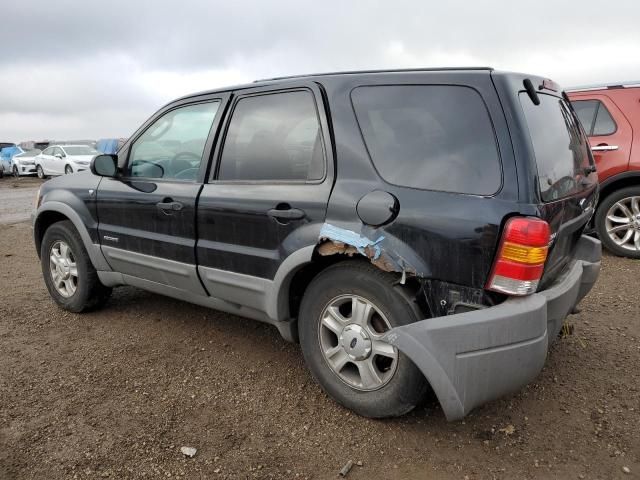 2001 Ford Escape XLT