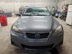 2013 Lexus IS 250