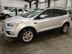 Salvage cars for sale at Avon, MN auction: 2017 Ford Escape SE