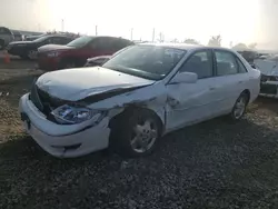 Toyota salvage cars for sale: 2004 Toyota Avalon XL