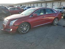 Cadillac xts Vehiculos salvage en venta: 2015 Cadillac XTS Luxury Collection