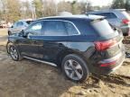 2024 Audi Q5 Premium Plus 40