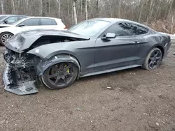 Salvage cars for sale at Cookstown, ON auction: 2019 Ford Mustang