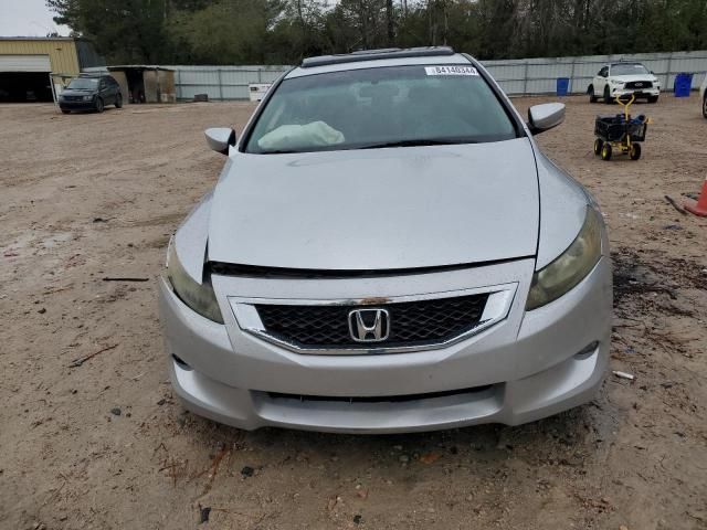 2009 Honda Accord EXL