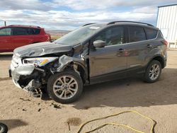 Salvage cars for sale at Albuquerque, NM auction: 2019 Ford Escape SEL