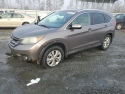 Salvage cars for sale at Spartanburg, SC auction: 2013 Honda CR-V EXL