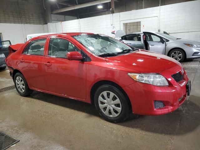 2010 Toyota Corolla Base