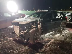 Salvage cars for sale at Elgin, IL auction: 2025 Chevrolet Equinox RS