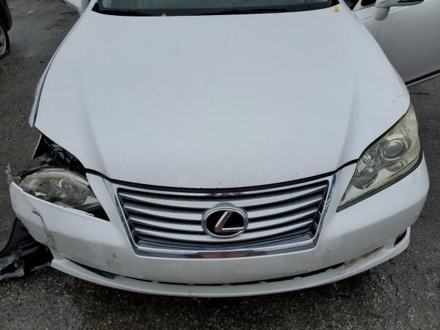 2010 Lexus ES 350