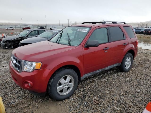 2010 Ford Escape XLT