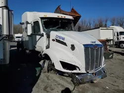 Peterbilt salvage cars for sale: 2023 Peterbilt 579