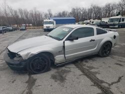 Salvage cars for sale from Copart Rogersville, MO: 2005 Ford Mustang