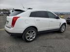 2010 Cadillac SRX Performance Collection