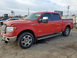 Ford salvage cars for sale: 2012 Ford F150 Supercrew