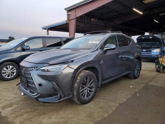 2024 Lexus NX 250 Base