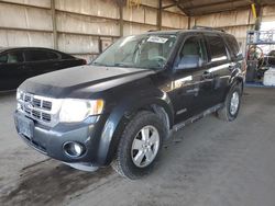 Salvage cars for sale at Phoenix, AZ auction: 2008 Ford Escape XLT