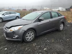 2012 Ford Focus SE en venta en Baltimore, MD