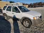 2001 Ford Escape XLT