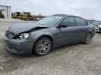 2006 Nissan Altima SE