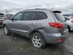 2007 Hyundai Santa FE SE